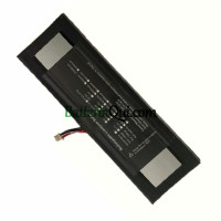 Sostituzione della batteria per Pda 5059B4-2S-1