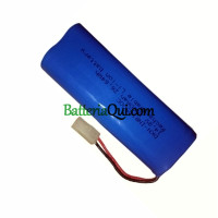 Sostituzione della batteria per PLC INR18500C