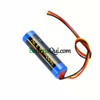 Sostituzione della batteria per PLC L617-1S1P CP01TIOT S1