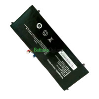 Batteria di ricambio per Funhouse MRro F10 GN16