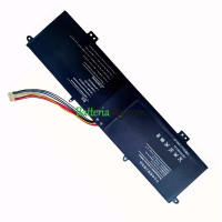 Batteria di ricambio per GW LP14123 Ditma UTL-4766133-2S