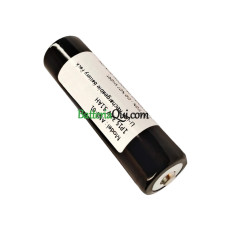 Batteria di ricambio per PLC 1P1S ANS-01