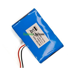 Batteria di ricambio per PLC 2001-966