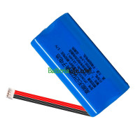 Batteria di ricambio per PLC 2P18650