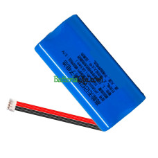 Batteria di ricambio per PLC 2P18650