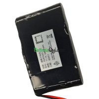 Batteria di ricambio per PLC 3S2P3201