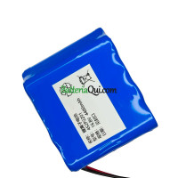 Batteria di ricambio per PLC 4S2P2201