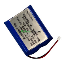 Batteria di ricambio per PLC 904547AY