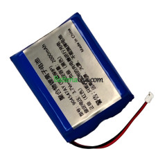 Batteria di ricambio per PLC 904547AY
