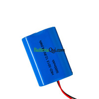 Batteria di ricambio per PLC A16 HKD-5013