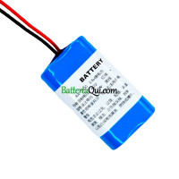 Batteria di ricambio per PLC AA-2000