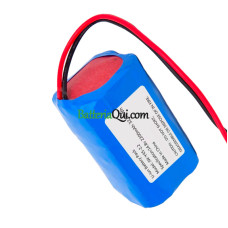 Batteria di ricambio per PLC BLX-5
