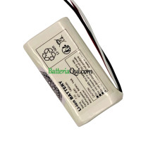 Batteria di ricambio per PLC CGR-B/246A 401-0081