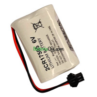 Batteria di ricambio per PLC COHN210503 2CR17505