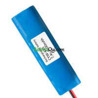 Batteria di ricambio per PLC CYW-685