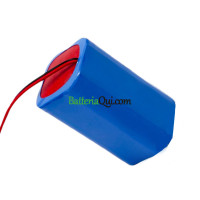 Batteria di ricambio per PLC DT4052