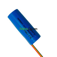 Batteria di ricambio per PLC ICR18500 DL4-1306a