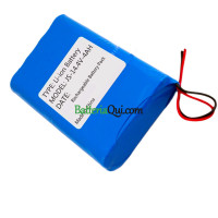 Batteria di ricambio per PLC JS-14.4V-4AH