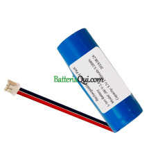 Batteria di ricambio per PLC JW-Y-1.4