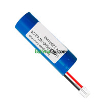 Batteria di ricambio per PLC LI-ION16500-JW-No24