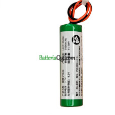 Batteria di ricambio per PLC LICR18650C PA-P1BW