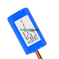 Batteria di ricambio per PLC P0005