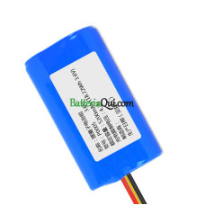Batteria di ricambio per PLC P0005
