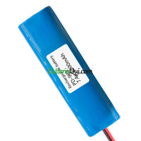 Batteria di ricambio per PLC PD-968