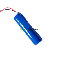 Batteria di ricambio per PLC SD-S20
