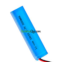 Batteria di ricambio per PLC SW2170