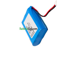 Batteria di ricambio per PLC TS1132