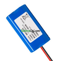 Batteria di ricambio per PLC TY-ICR18650-2S