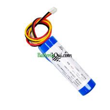 Batteria di ricambio per PLC TYM4G1