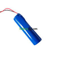 Batteria di ricambio per PLC W18650-2200NCM 93837-001