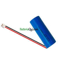 Batteria di ricambio per PLC XB-8617-1