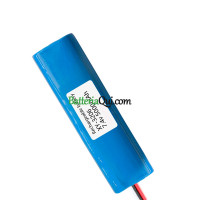 Batteria di ricambio per PLC XY3206-5A