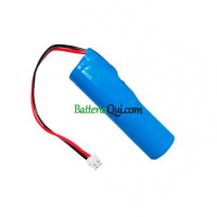 Batteria di ricambio per PLC YJ18650-1P