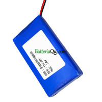 Batteria di ricambio per PLC YK2900 COHN144068PL