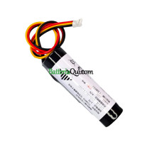 Batteria di ricambio per PLC Z1 TY18650