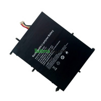 Batteria di ricambio per Teclast Type-E-10lines F15s 30154200P 28140168