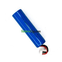Batteria di ricambio per Teslong NTS300