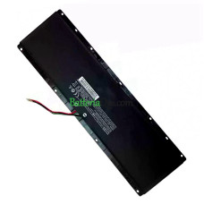 Batteria di ricambio per TF FSN-PUB2TF U410-I4010040G02