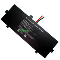 Batteria di ricambio per EVOO TEV-C-116-1