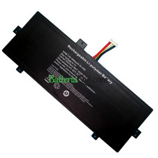 Batteria di ricambio per EVOO TEV-C-116-1