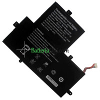 Batteria di ricambio per Gateway AMD GWTN156-12BL