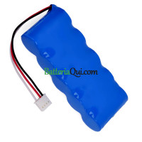 Batteria di ricambio per misuratore di portata GE PT878 Panametrics 200-081