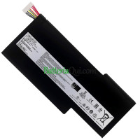 Batteria di ricambio per MSI 17F4 17B4 17B1 17F3 MS-17F2 16W2 16W1