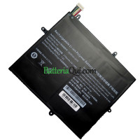Batteria di ricambio per PDA 10 linee 2679125-2S1P