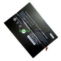 Batteria di ricambio per PDA 10 linee AEC3179109-4S2P