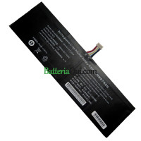 Batteria di ricambio per PDA 10 linee AEC567479-2S2P